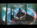 Rhapsody Of Fire Black Wizard Lyric Video