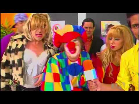 Escholita Solitaria Vs Estrellita Solitaria - Vivos Ecuador