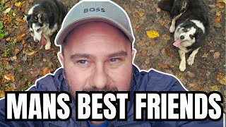 A Daily Walk With My Dogs