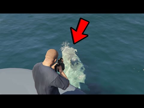 Can you kill the Edge Shark?