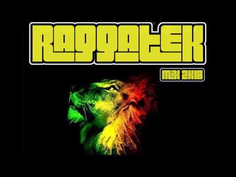 RAGGATEK MIX 2018 // FREE PARTY SET //