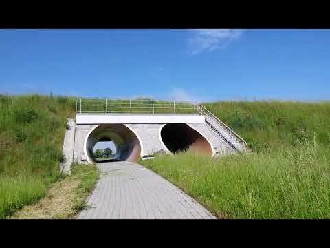 Parczew , Siemień i okolice - fotorocznik 2022