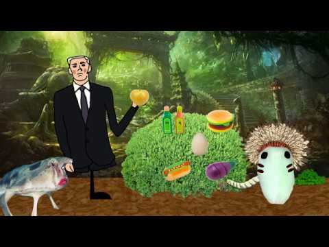 Krzysztof Troc 5 - Challenge 1: 'Rumble in the Jungle'