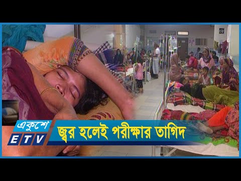 দ্বিগুণ মৃত্যু ঝুঁকিতে ডেঙ্গু আক্রান্ত গর্ভবতী নারীরা