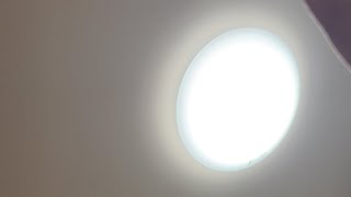 やほ！！