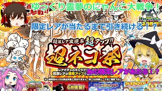 超ネコ祭り開催！限定レア引くまで無限ガチャ！？[にゃんこ大戦争]