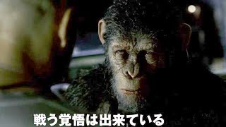 映画『猿の惑星：聖戦記(グレート・ウォー)』予告編