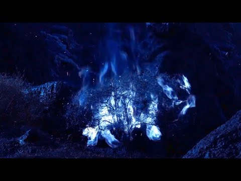 Exodus: Gods And Kings Clip - "Burning Bush" (2014)| 4K UHD