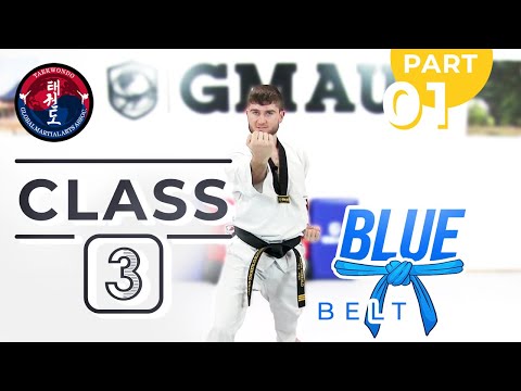 Taekwondo - Blue Belt - Class 3 (Part 1) thumbnail