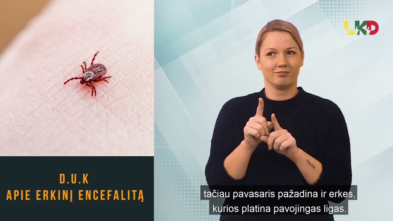 Kodėl verta pasiskiepyti nuo erkinio encefalito?