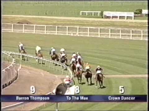 To The Max  at Matamata