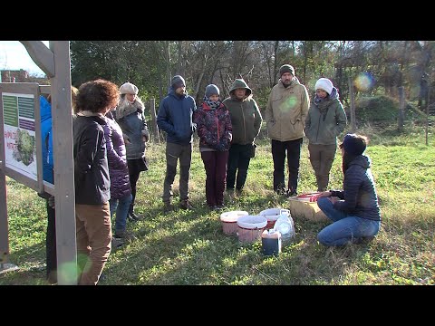 Vissza a természetbe