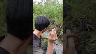 Download lagu NEMU BELUT MERAH DI RAWA BEKAS WARGA MEROGOH mp3