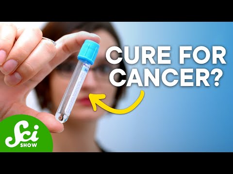 , title : 'Scientists May Have Accidentally Found a Way to Treat ALL Cancers | SciShow News