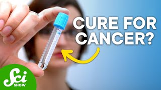 Scientists May Have Accidentally Found a Way to Treat ALL Cancers | SciShow News