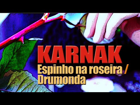 Espinho Na Roseira - Karnak