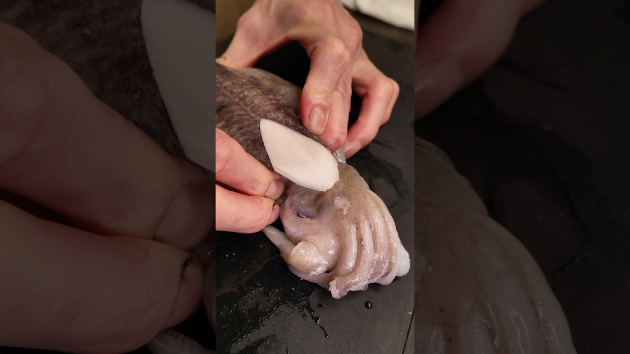 Squid sushi #japanese #sushi #food