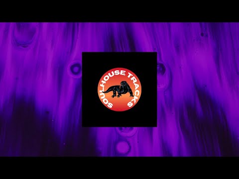 Franky Wah x AR/CO - Under The Sun (Vintage Culture Extended Remix)