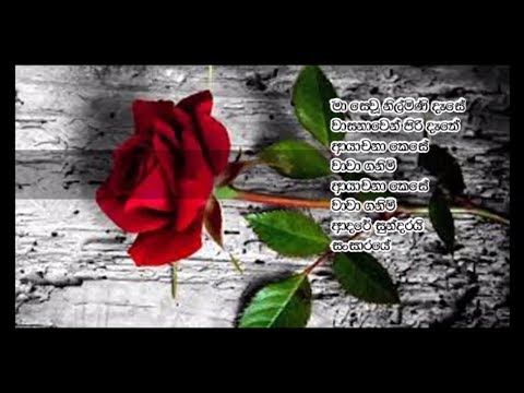 Rosa Mal Pethi Pini Bindu-Chandrasena Hettiarachchi