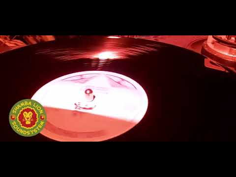 Shamba Lion playing on Backattack Sound System at DMI Zwolle 02-04-22