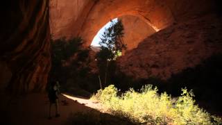 Andrew Bird - Echolocations: Canyon (Full Film)