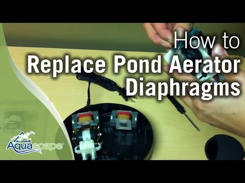 Aquascape How-to: Replacing Pond Aerator Diaphragms