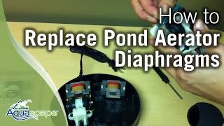 Aquascape How-to: Replacing Pond Aerator Diaphragms