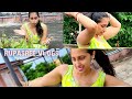 Alovera Tree Ll Rupasree Vlogging Bengalivlog Banglavlog Vlog