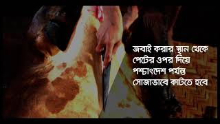 কোরবানীর পশুর চামড়া ছাড়ানো সংক্রান্ত নির্দেশনা।