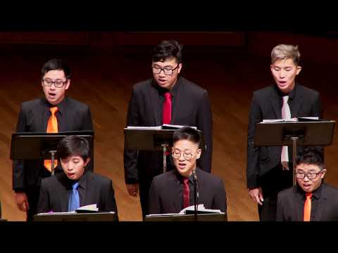 Canticum Novum - Ivo Antognini