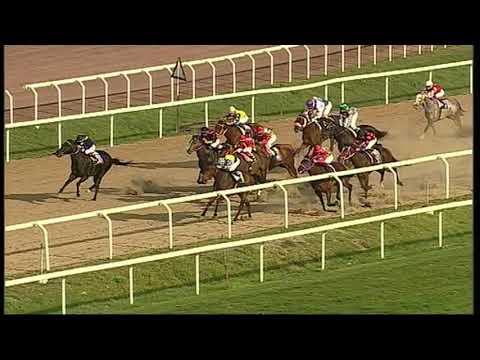 rm 20210226 05 p vichyiitris