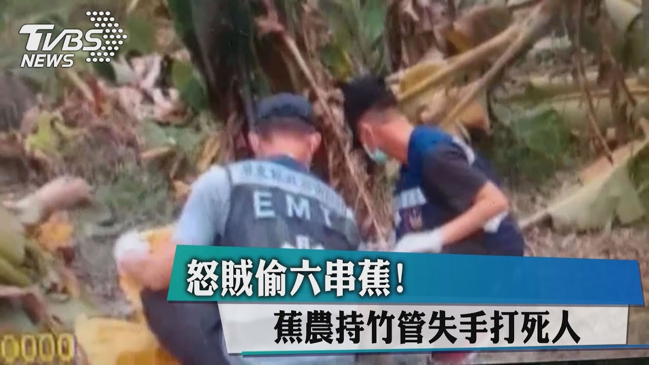 怒賊偷6串蕉! 蕉農持竹管失手打死人