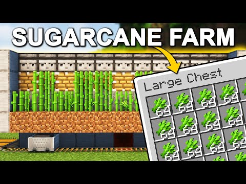 Automatic SUGARCANE Farm in Minecraft 1.21+ (Tutorial)