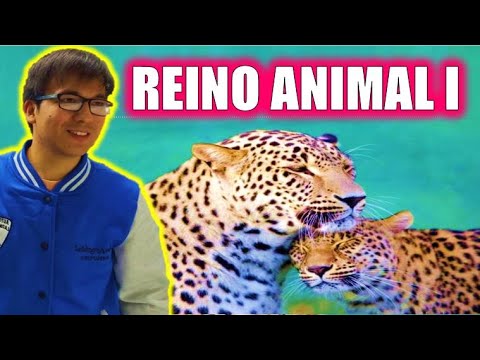 [ FREE BIOLOGY ] - ANIMAL KINGDOM I