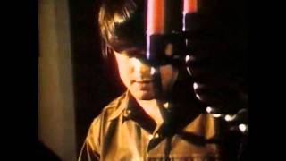 Brain Wilson - Surf&#39;s Up