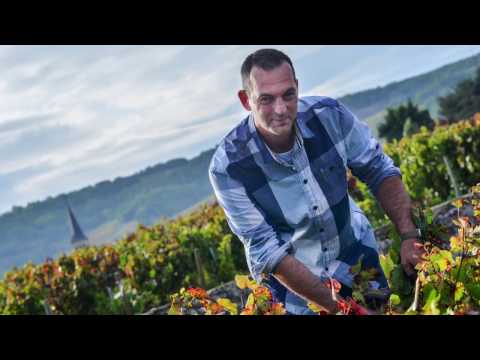 2016 Beaujolais Nouveau Celebration