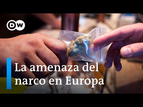 La mafia de la droga desata el miedo en Países Bajos