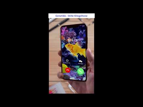 Genetikk - Stille Klingeltone Kostenlos 2021 | KlingeltonKostenlos.de