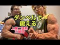 太い腕を作る!自宅トレーニング!