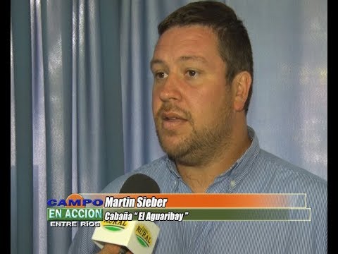 Angus - 3º Prueba Pastoril del Litoral y Remate -  Martin Sieber