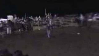 preview picture of video 'Dundy County Nebraska Wild Horse Race'