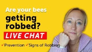 Is Your Beehive Being Robbed? LIVE CHAT