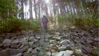 Matt Pond - The Lives Inside the Lines In Your Hand (EPK)