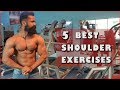 Top 5 Shoulder Exercises by Vineet kala