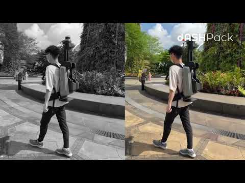 d.ASH Pack: Gardens by the Bay 3D Mobile Mapping