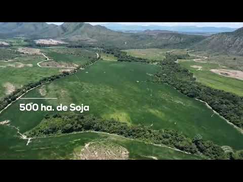 // Oportunidade!!! Fazenda de 535 alqueires// Na Vila Propicia 200 km de Goiânia Goiás 