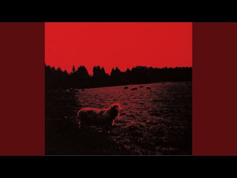 （This is not just）Song for me のサムネイル