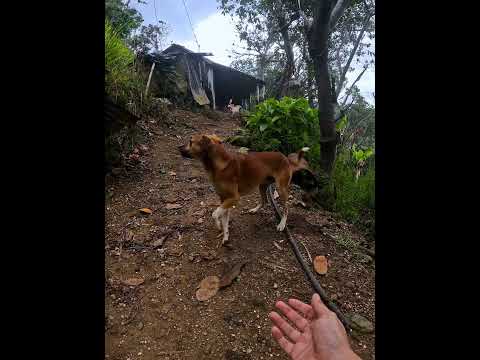 Cascada el Caney, Piedecuesta, Santander, Colombia.