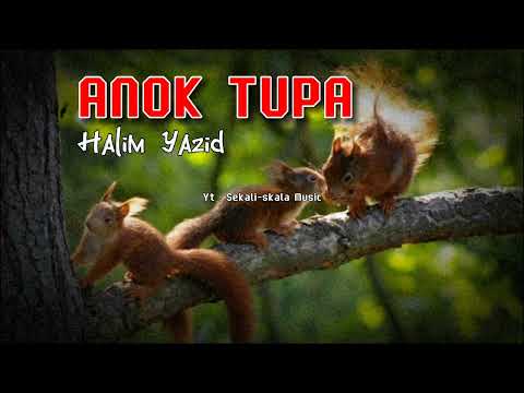 Halim Yazid = Anok tupai 🐿️