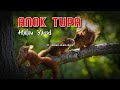 Halim Yazid Anok Tupai ️